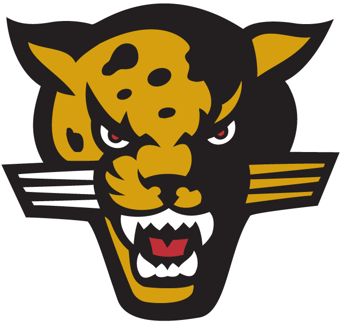 IUPUI Jaguars 2002-2007 Alternate Logo v2 diy iron on heat transfer